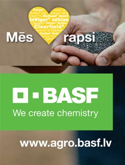 Basf Butisan